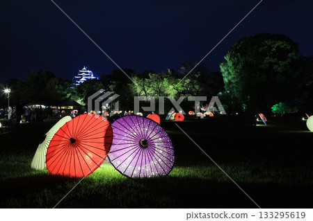 Illuminated Okayama Castle and Korakuen 133295619