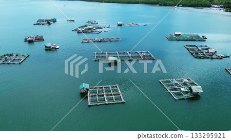 Fish farm with cages for fish and shrimp 133295921