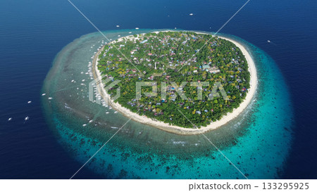 Tropical island surrounded by turquoise waters and coral reefs Tropical island surrounded by turquoise waters and coral reefs 133295925