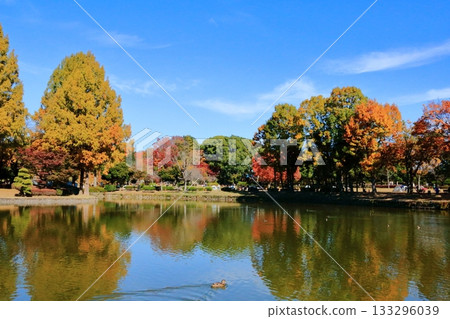 Ageo Maruyama Park, a walking path through the autumn leaves 133296039