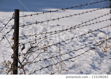 A barbed wire fence on snowy ground at Unit 731 prison camp 133296065