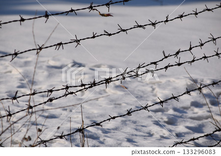 A barbed wore fence with a backdrop of snow at Unit 731 Harbin, China 133296083