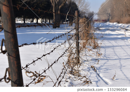 A barbed wore fence with a backdrop of snow at Unit 731 in Harbin, China 133296084