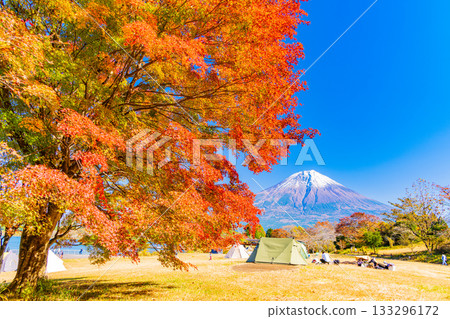 [Shizuoka Prefecture] Lake Tanuki Campground and Mt. Fuji in Autumn 133296172