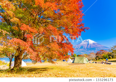 [Shizuoka Prefecture] Lake Tanuki Campground and Mt. Fuji in Autumn 133296173