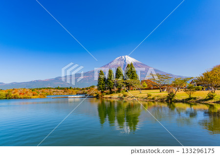 [Shizuoka Prefecture] Lake Tanuki Campground and Mt. Fuji in Autumn 133296175