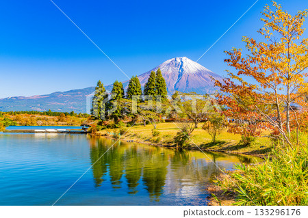 [Shizuoka Prefecture] Lake Tanuki Campground and Mt. Fuji in Autumn 133296176