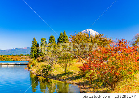 [Shizuoka Prefecture] Lake Tanuki Campground and Mt. Fuji in Autumn 133296177