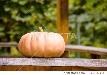 ripe muscat pumpkin autumn harvest. blurred background of rural outdoor environment. rustic terrace with wood plank. backdrop for halloween or thanksgiving day in autumn season. cozy countryside 133296311