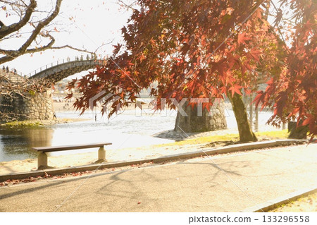 Kintai Bridge and maple leaves in the morning sun Kintai Bridge and maple leaves in the morning sun 133296558