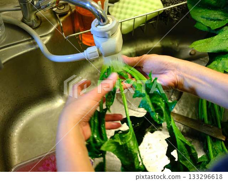Kitchen cooking vegetables meat cutting woman hand tags Kitchen cooking vegetables meat cutting woman hand tags 133296618