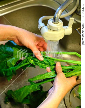 Kitchen cooking vegetables meat cutting woman hand tags Kitchen cooking vegetables meat cutting woman hand tags 133296632
