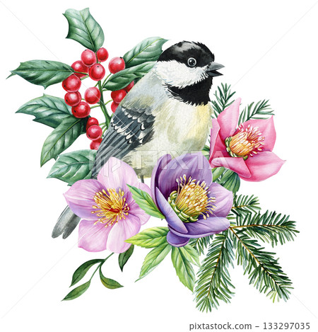 Chickadee bird with holly berries pine branches and pink purple winter flowers hellebore watercolor botanical design 133297035