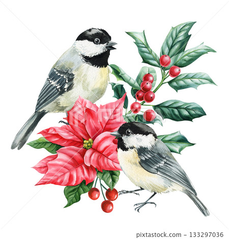 Chickadee birds with poinsettia holly berries and green leaves watercolor winter floral arrangement for seasonal decor 133297036