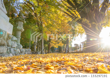 三重縣名張市津田神社的紅葉 133297191