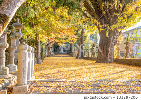 三重縣名張市津田神社的紅葉 三重縣名張市津田神社的紅葉 133297200