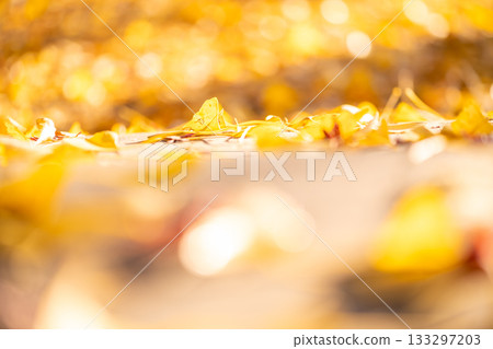 三重縣名張市津田神社的紅葉 133297203