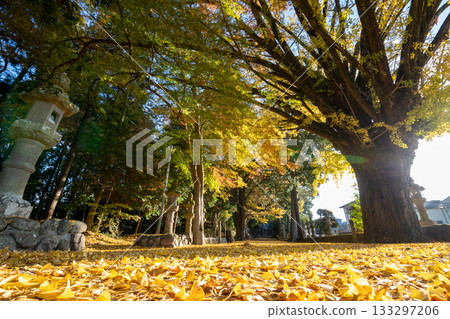 三重縣名張市津田神社的紅葉 三重縣名張市津田神社的紅葉 133297206
