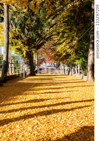 三重縣名張市津田神社的紅葉 三重縣名張市津田神社的紅葉 133297209