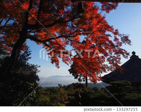 Autumn leaves of Zen-zenji Autumn leaves of Zen-zenji 133297255