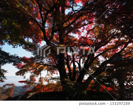 Autumn leaves of Zen-zenji Autumn leaves of Zen-zenji 133297289