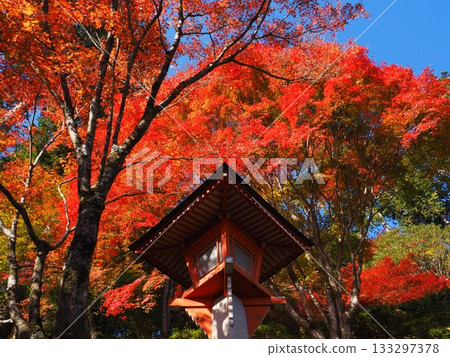 禪宗zenji秋葉 133297378