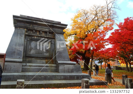 A garden with autumn leaves 133297732