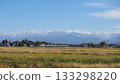 Snow-capped Tateyama mountain range and rice fields 133298220