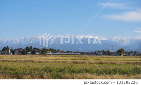 白雪皚皚的立山山脈和稻田 白雪皚皚的立山山脈和稻田 133298220
