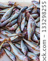 Fish anchovy background in fishermen market store shop, Italy 133298255