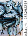 Large quantity of fresh fish for sale at the market - Sarpa salpa 133298256