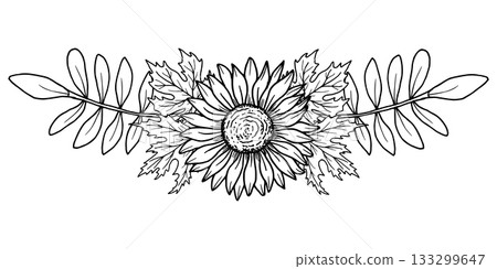 Sunflower flower with maple leaves. Autumn banner and frame. Botanical vector art. Black graphic illustration, hand-drawn using line art. Suitable for logos, tattoo sketches, seasonal projects. Sunflower flower with maple leaves. Autumn banner and frame. Botanical vector art. Black graphic illustration, hand-drawn using line art. Suitable for logos, tattoo sketches, seasonal projects. 133299647