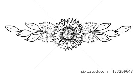 Autumn frame, banner and background. Sunflower flower with leaves. Botanical vector illustration. Hand drawn black graphics. Seasonal holiday design. Thanksgiving. Rustic wedding. 133299648