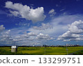 Sky and clouds and the cityscape 133299751