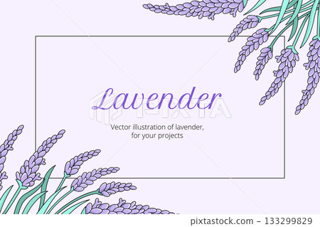 Minimalist lavender banner template with soft pastel background and floral decoration. Elegant botanical layout for branding, spa, organic cosmetics, or wellness promotions. 133299829