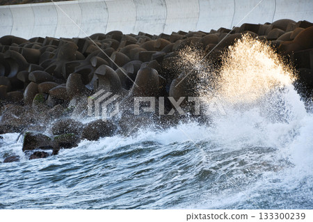 Tetrapods and Namiuchi_03 133300239