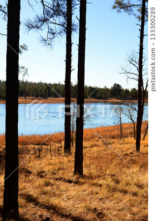 Lake of the Woods Arizona Lake of the Woods Arizona 133300289