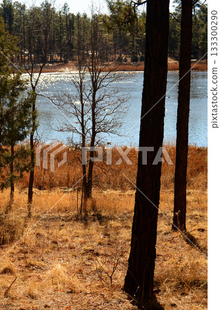 Lake of the Woods Arizona 133300290