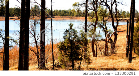 Lake of the Woods Arizona Lake of the Woods Arizona 133300291