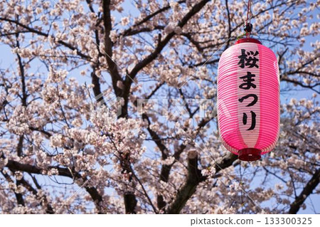 Kanagawa Prefecture, Aso River Cherry Blossom Festival lanterns 133300325