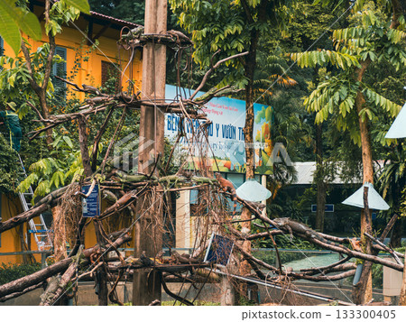 越南西貢動物園和植物園 133300405