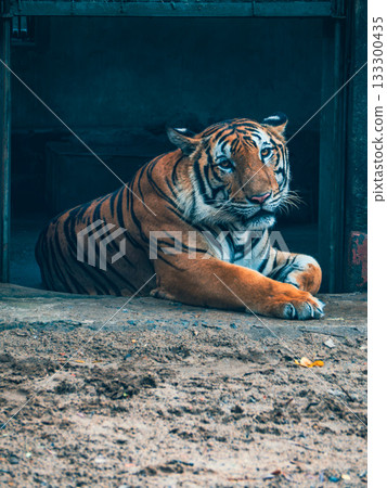 Saigon Zoo and Botanic Gardens in Vietnam Saigon Zoo and Botanic Gardens in Vietnam 133300435