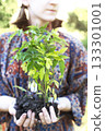 girl holds seedlings in her hands 133301001