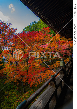 班書寺 班書寺 133301027