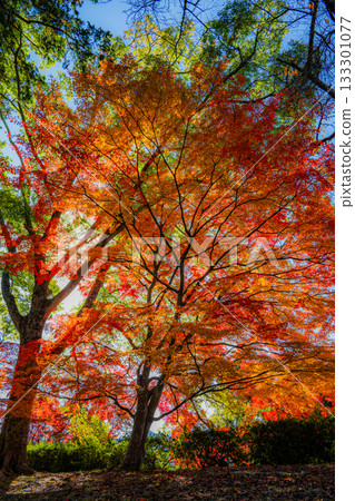 Shinoyama Castle 133301077