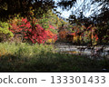 Autumn leaves reflected in a pond 133301433