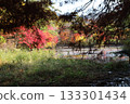 Landscape with autumn leaves 133301434