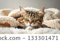 A gentle cat sleeping wrapped in a fluffy blanket 5 133301471