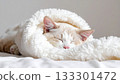 A gentle cat sleeping wrapped in a fluffy blanket 4 133301472