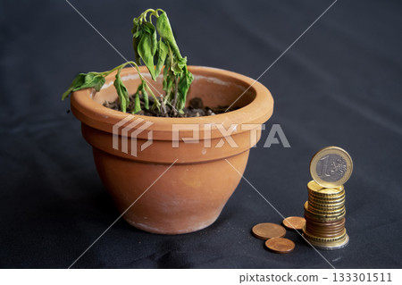 wilted plant in pot with coins symbolizing financial crisis concept wilted plant in pot with coins symbolizing financial crisis concept 133301511